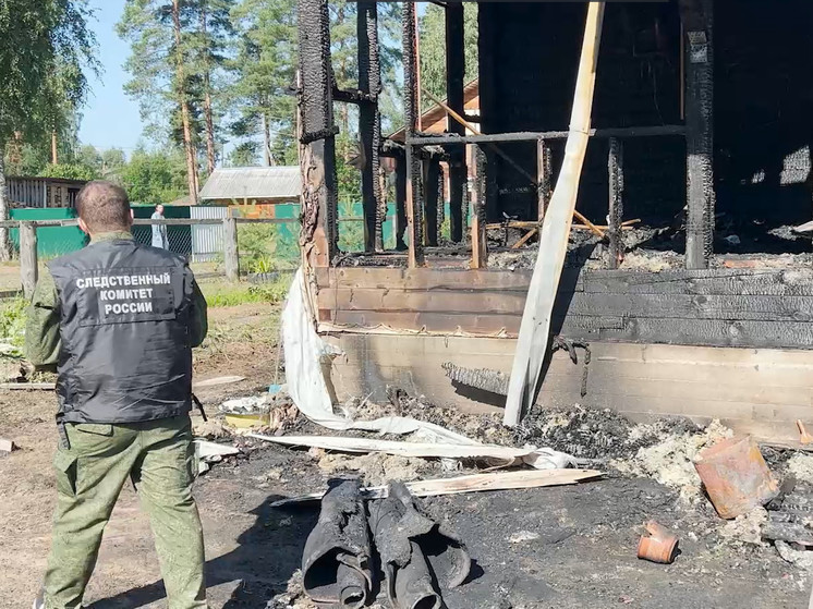 Глава Следкома России взял на контроль дело о резне в Карелии