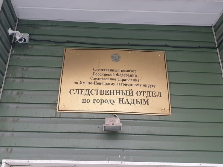 26 эпизодов преступной деятельности: в Надыме осудят 2 юных кладменов