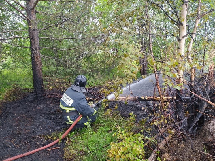 Высокий уровень пожарной опасности действует в Кольском и Ловозерском районах
