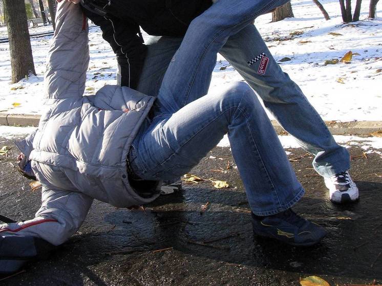 Массовая драка произошла в Новой Москве