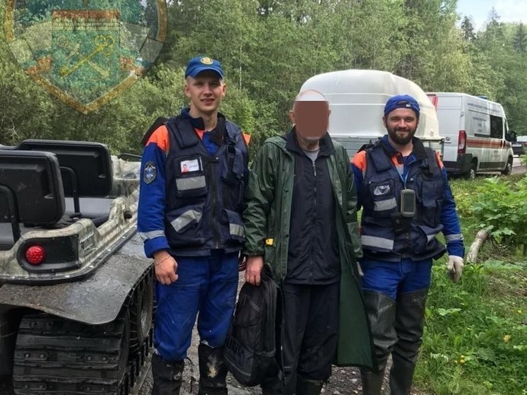 Спасатели отправились на поиски заблудившегося в лесу около поселка Лисино-Корпус мужчины