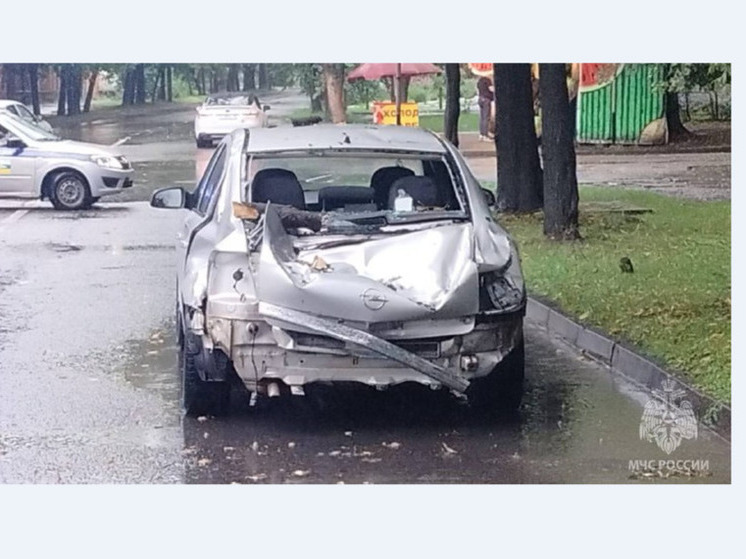 Во Владикавказе мужчина пострадал при падении дерева на его машину