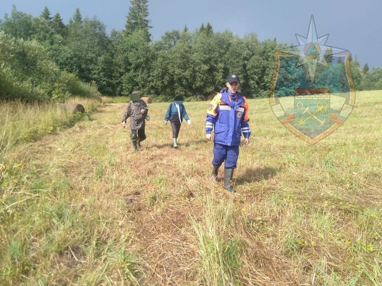 Спасатели нашли в лесу рядом со Старой Ладогой заблудившуюся пенсионерку