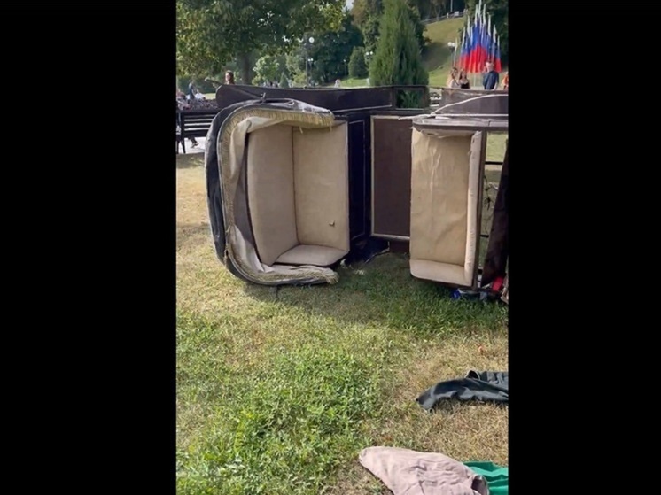Мэрия Ярославля оштрафовала хозяйку опрокинутой кареты