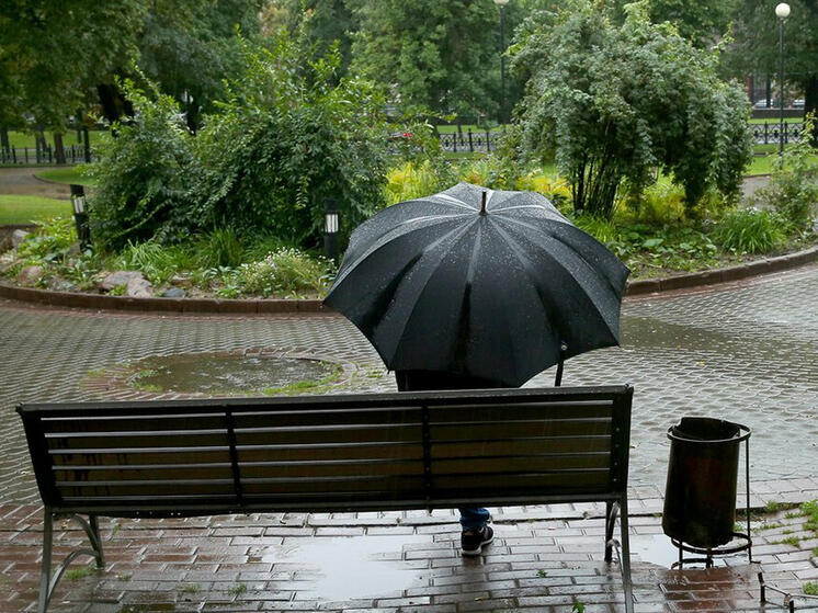 Конспект мыслей одного дня