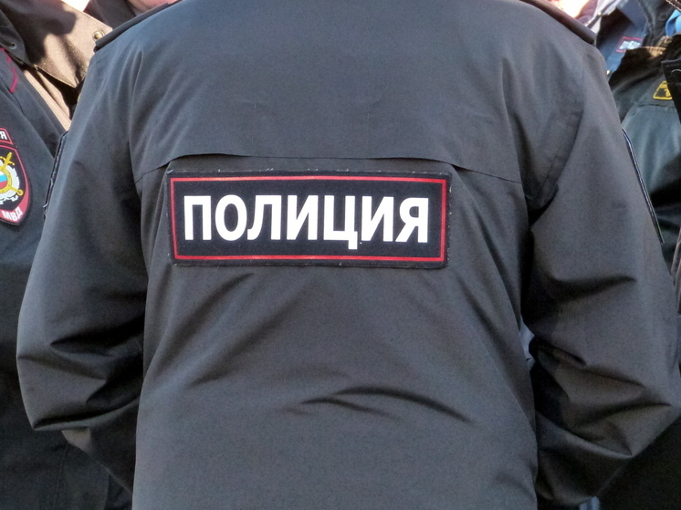 Солецкий школьник помог полицейским поймать мошенника