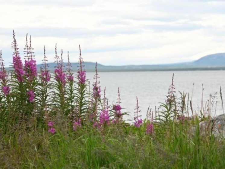В пятницу ветер на побережье Берингова моря будет достигать 20 м/с
