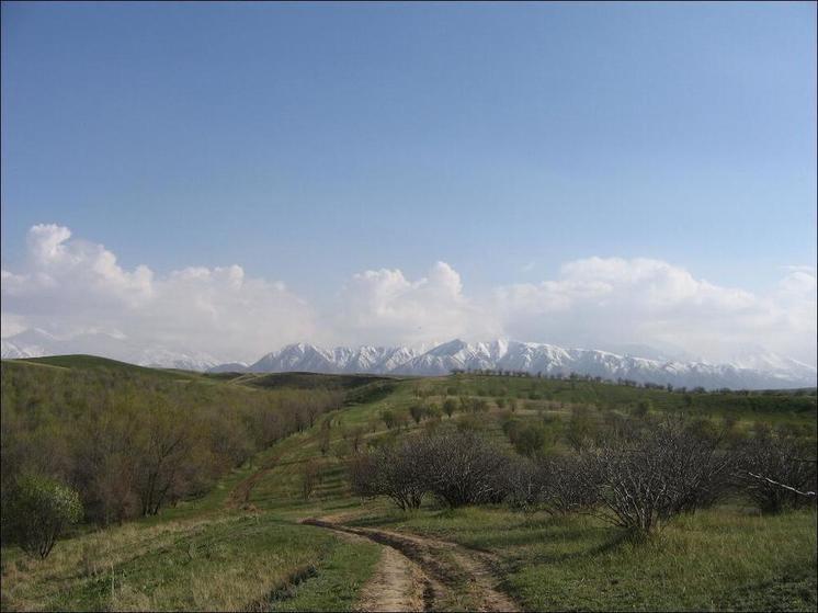 МИД РФ: суверенитет Абхазии и Южной Осетии не подлежит пересмотру