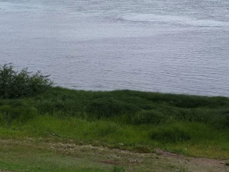 В водоёмах Омской области за сутки утонули два подростка