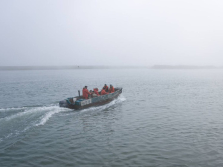 На Чукотке ввели режим проходных дней из-за низких подходов лососей