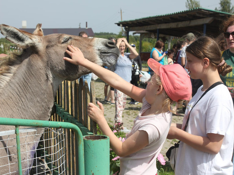 «На старт!» к приключениям: участники инклюзивного спортивного проекта посетили экологическую ферму в Костроме