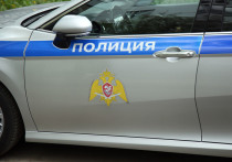 Портал «Северный край» сообщил, что в Норильске суд приговорил местного жителя к году лишения свободы условно за то, что он ударил росгвардейца