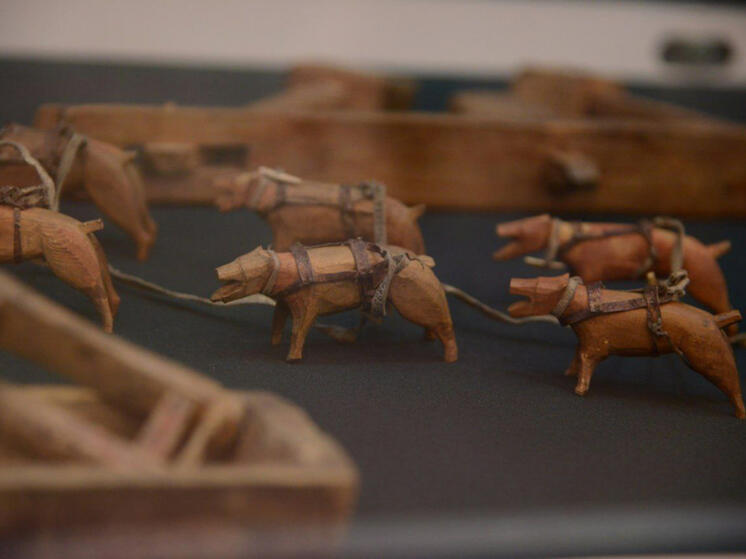 В Хабаровске откроется уникальная выставка, посвященная детству (6+)