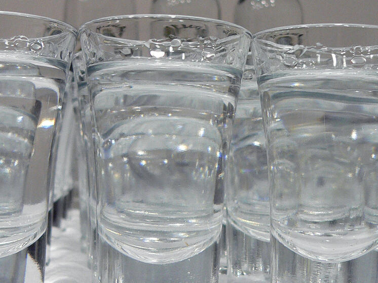 Владельца заводов по производству водки «Хортица» Александра Беспалова внесли в список террористов