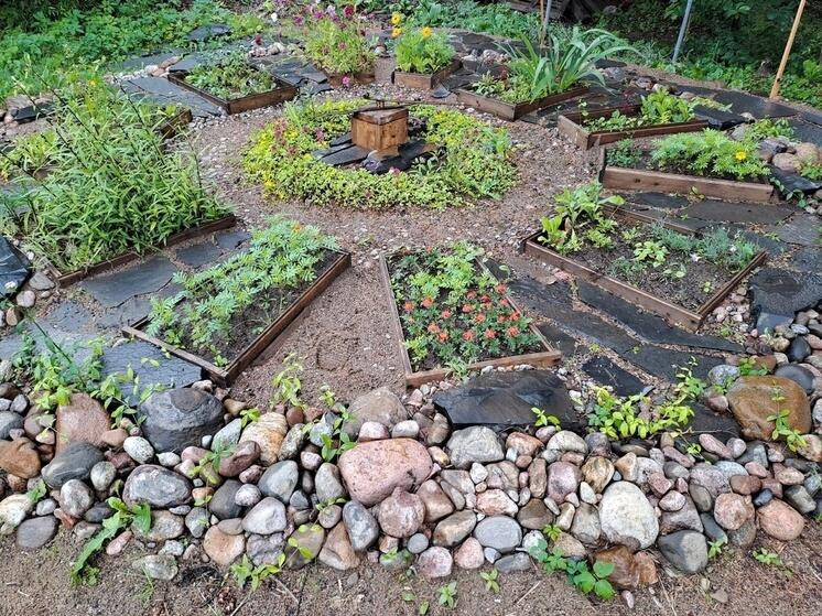 Сотрудники культурного центра в поселке Карелии сверяют время по цветам