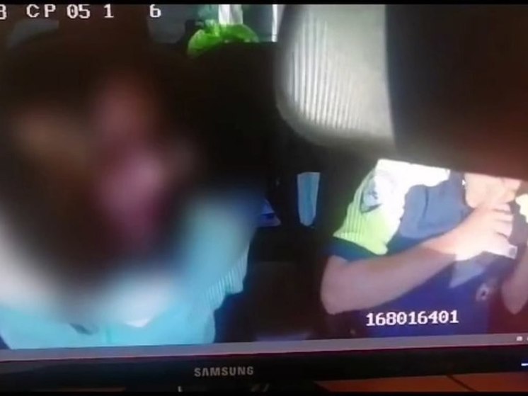 В Салехарде пьяная водительница избила полицейскую и попала под следствие