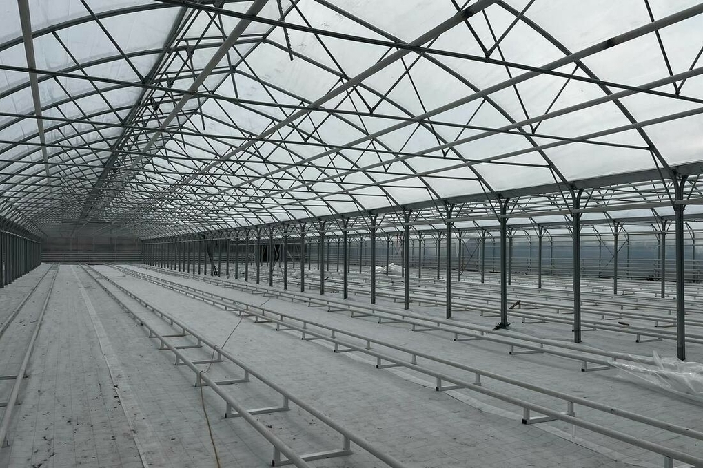 В Татарстане за 170 млн рублей строят новый тепличный комплекс