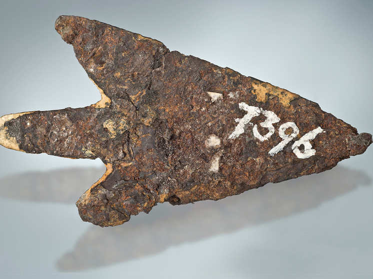 В Швейцарии нашли изготовленное 3 тысячи лет назад «инопланетное оружие»