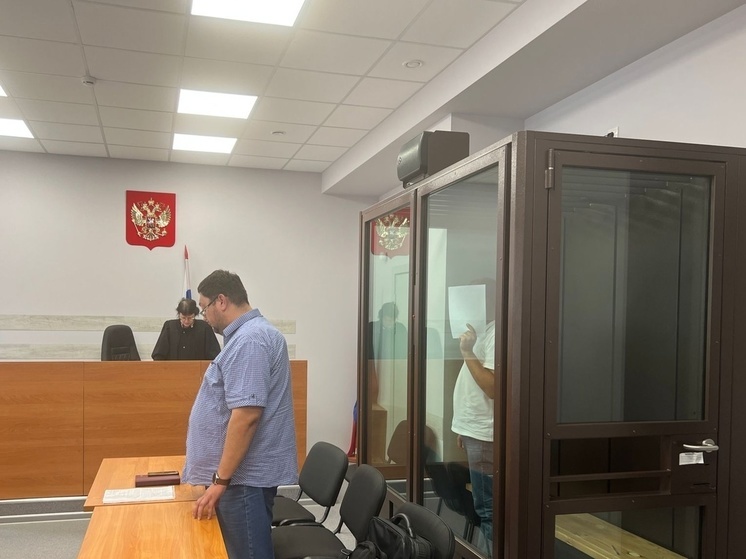 В Новосибирске суд назначил меру пресечения обвиняемому в гибели ребенка в коллекторе