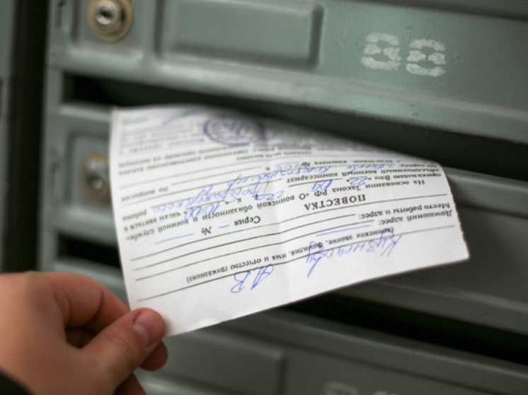 Картаполов: проект об уголовном преследовании за уклонение от мобилизации внесут осенью