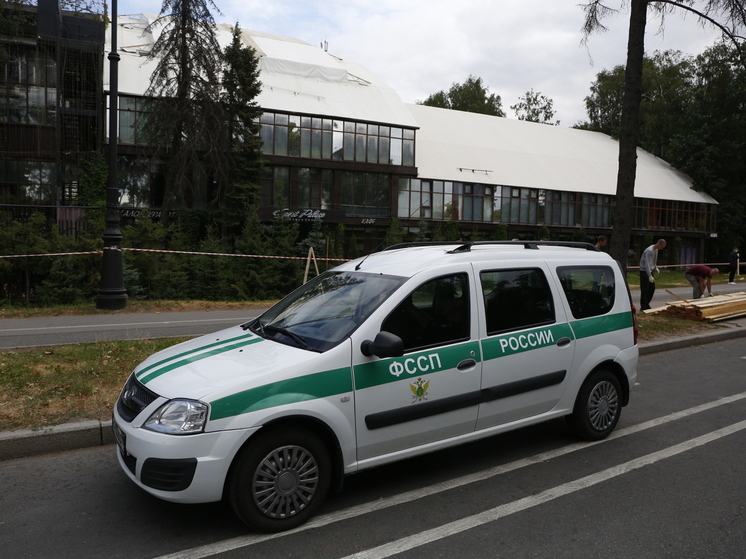 Новгородские приставы проведут акцию «Собери ребенка в школу – заплати алименты!»