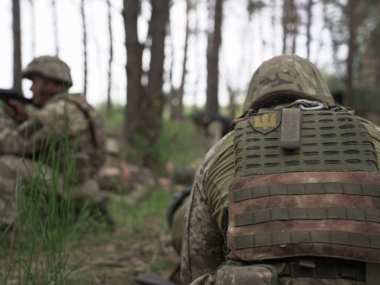 Mash: органы погибших солдат ВСУ начали продавать через Даркнет