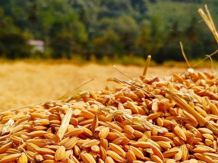 Синоптики 5 августа обещают в Смоленске малооблачную погоду