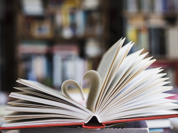 Великий Новгород встретил участников книжного автопробега «Дорога на маяк»