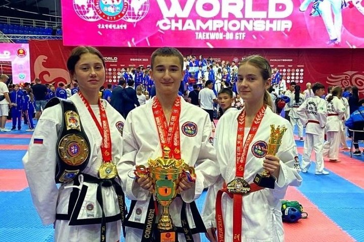 Хабаровские спортсмены завоевали 10 золотых медалей первенства мира по тхэквондо ГТФ