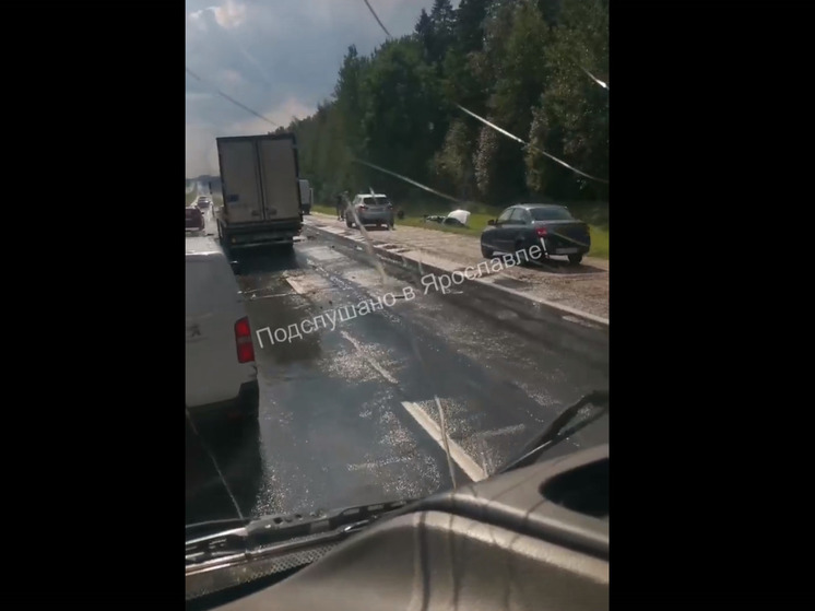 В Ярославском районе из-за дождя произошло смертельное ДТП
