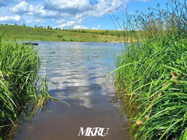 Кишечную палочку нашли на двух реках в Читинском районе
