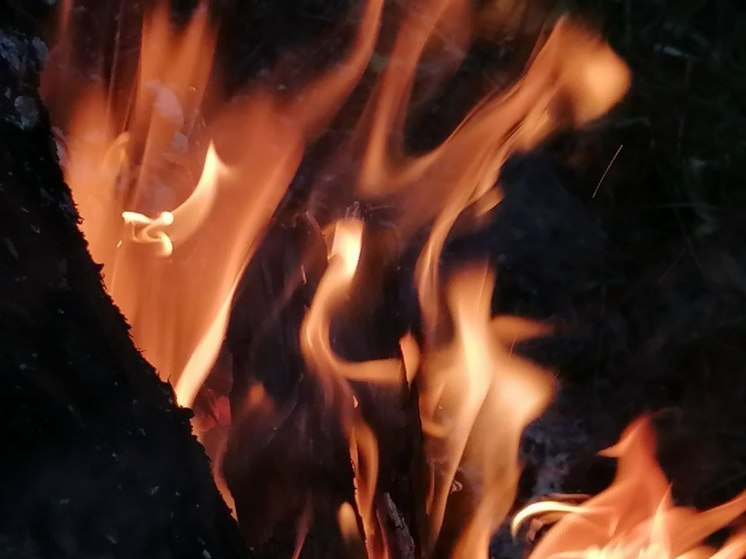 За сутки в Тульской области сгорели автомобиль, квартира и здание
