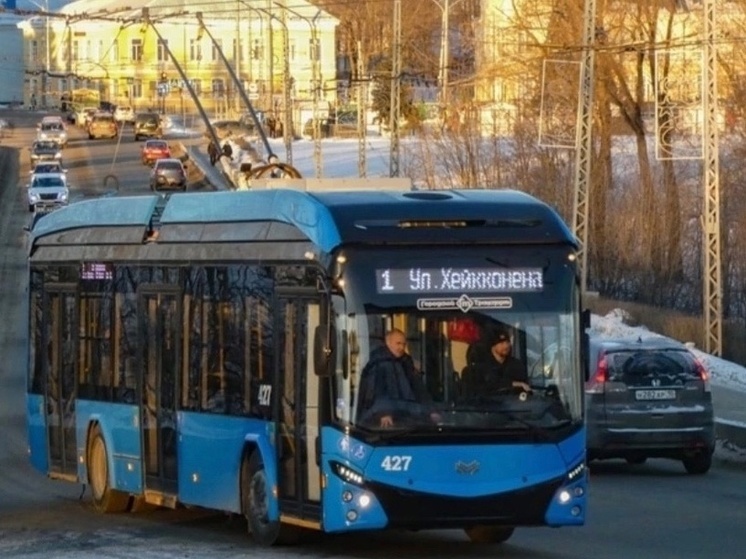 Троллейбусный маршрут на две недели отменят в Петрозаводске