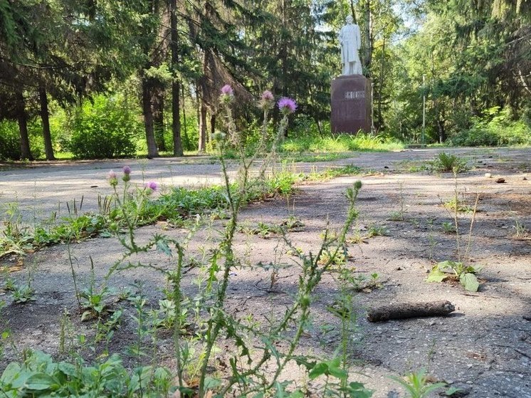 Скверы, которых нет: пензенцы просят вернуть зелень в городе