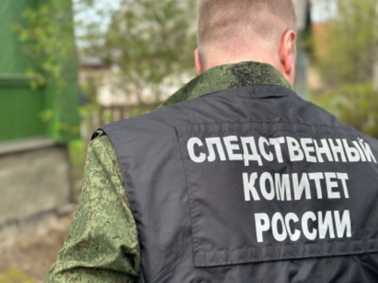 Сотрудники СК РФ устанавливают обстоятельства гибели мужчины в реке Волхов