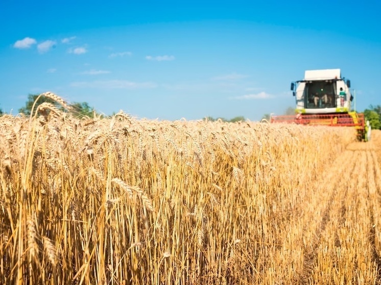 Орловщина за прошлый месяц отгрузила на экспорт 45,6 тысяч тонн зерна