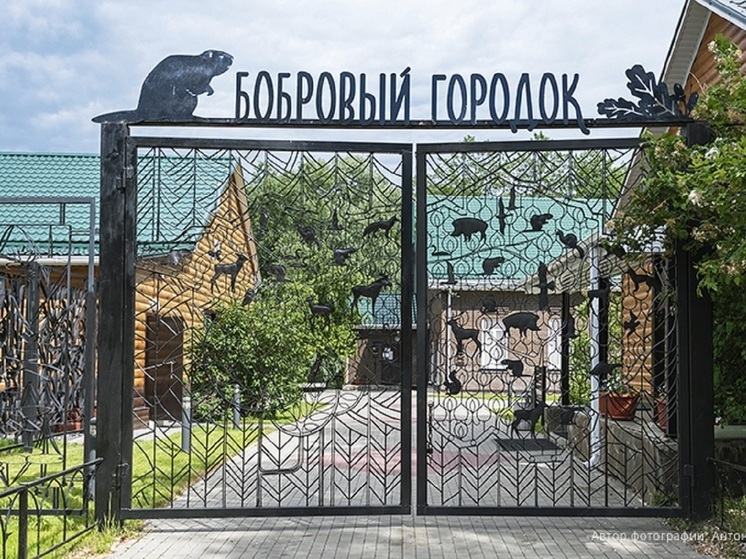 Жителей Воронежской области пригласили на «Бобрый вечер» в честь 100-летия заповедника