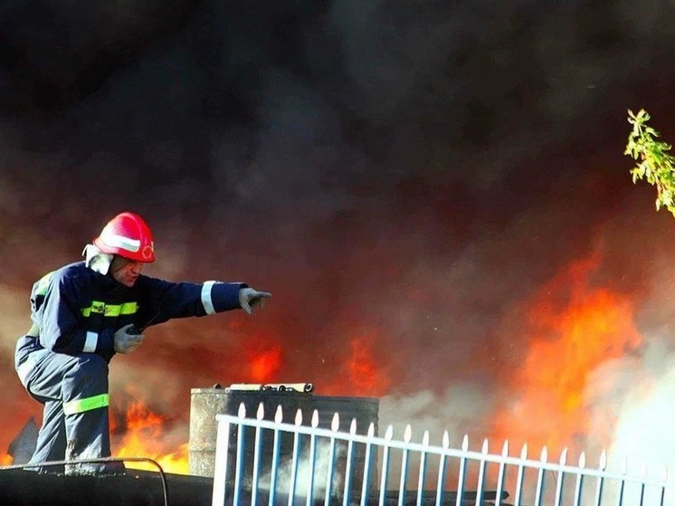 В Башкирии локализовали лесной пожар