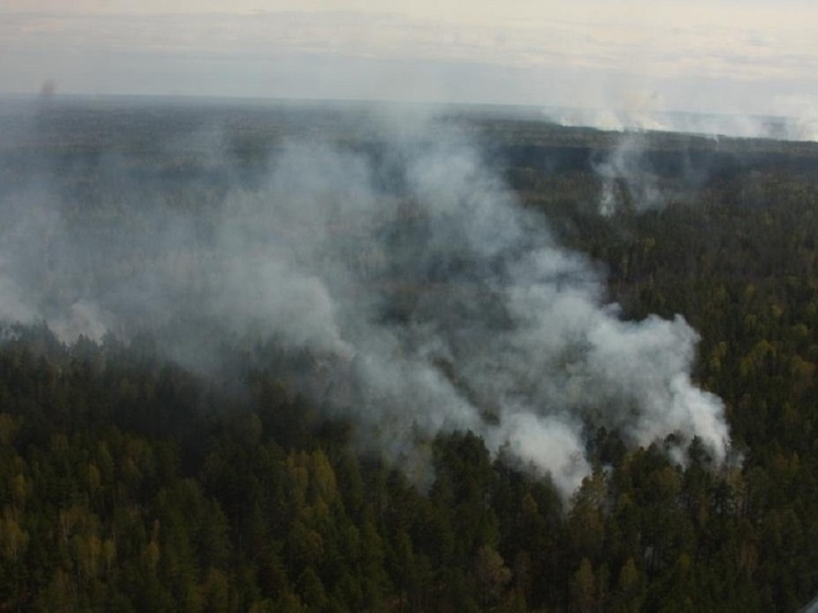 Ситуация под контролем: в Красноселькупском районе лес горит в 7 местах