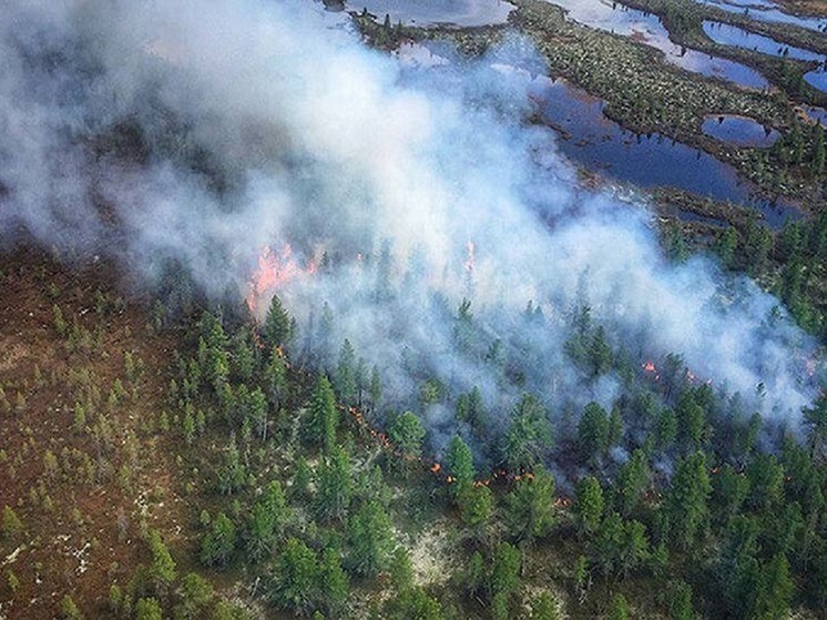 На Ямале горят 1600 га леса