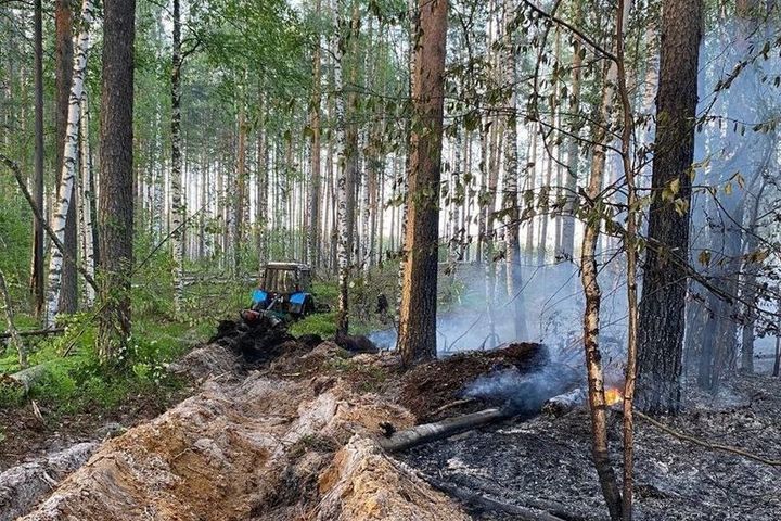 27 лесных пожаров произошло в Марий Эл с начала сезона