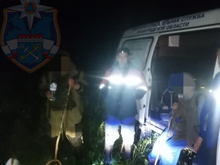Два человека заблудились в лесу около поселка Беличье