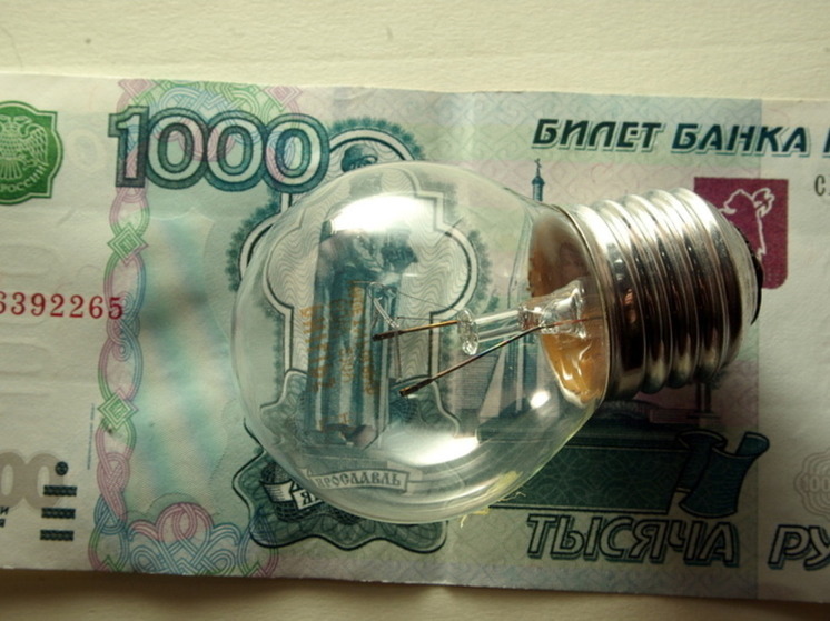 Калининградские СНТ должны за электроэнергию около 90 миллионов рублей