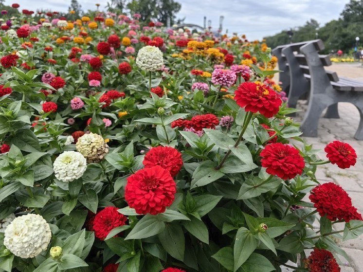 Неделя, которая будет быстро менять свою энергию