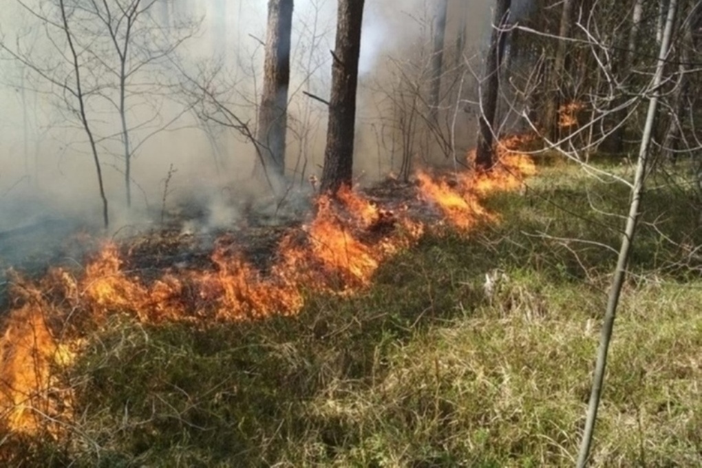В Надымский район прилетят пожарные из Тюмени и Иркутска на помощь в борьбе с огнем в лесах