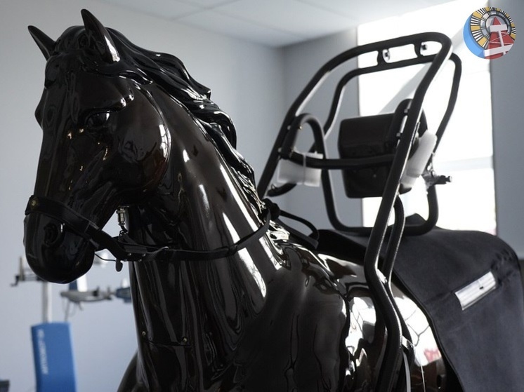 В спорткомплексе Ноябрьска установили уникальный тренажер в виде лошади: для детей с ОВЗ