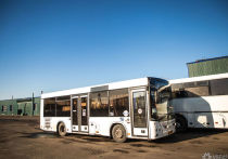 Новый региональный закон о бесплатном проезде на пригородных автобусах для детей участников СВО был принят по инициативе губернатора Кузбасса Сергея Цивилева