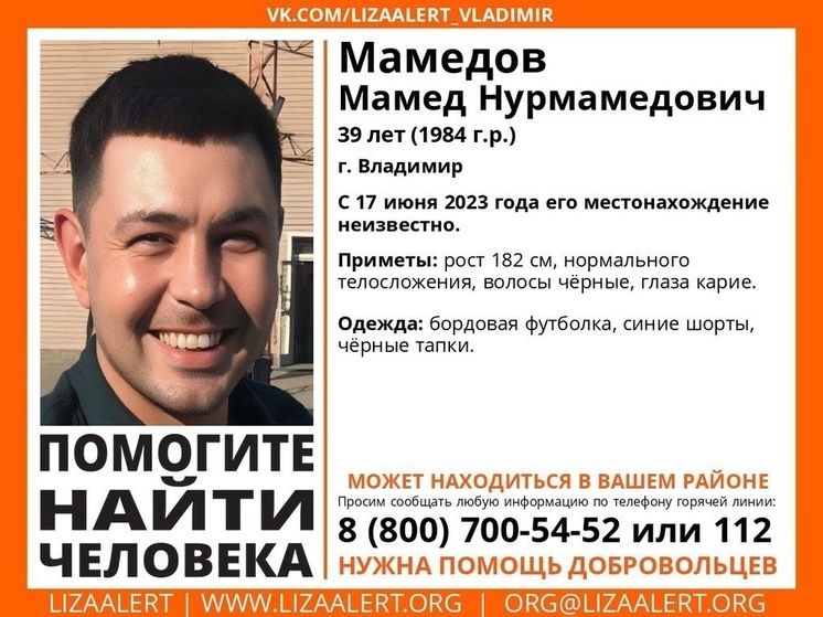 Владимирские поисковики ищут мужчину, пропавшего 17 июня