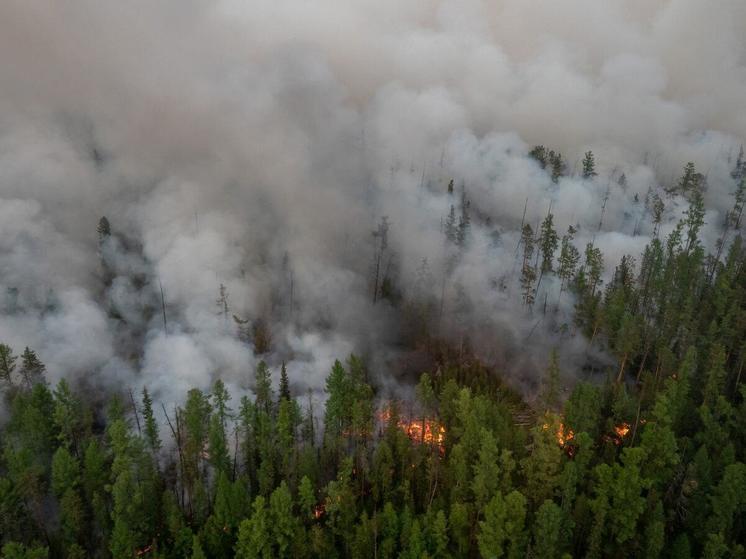 В Красноселькупском районе лес горит на территории заповедника