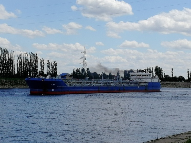 Пшеница подорожала на американской бирже после атаки дрона ВСУ на танкер «Сиг»